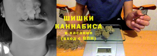 шишки Осинники