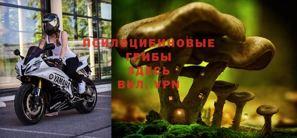 прущая мука Пересвет
