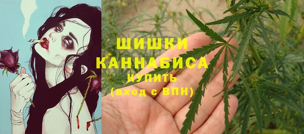 шишки Осинники