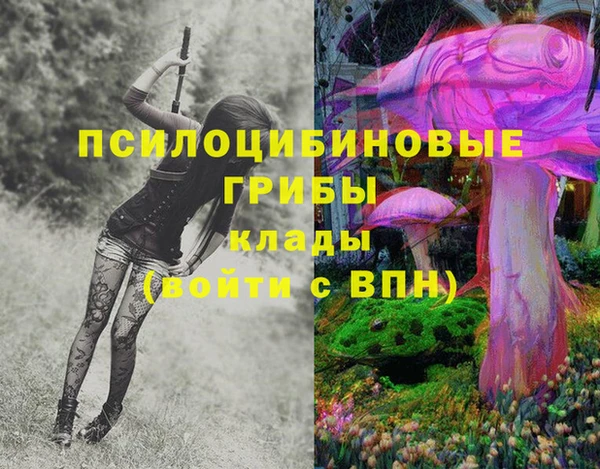 прущая мука Пересвет
