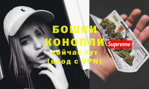 apvp Осташков