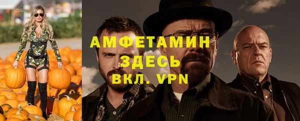 шишки Осинники