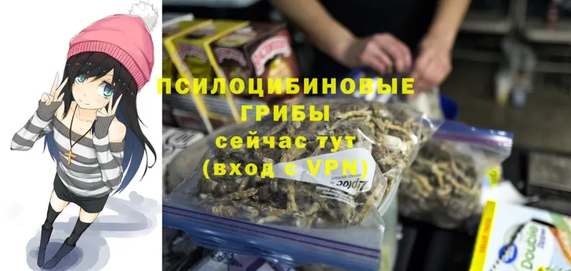 Галлюциногенные грибы Magic Shrooms  купить наркотики цена  кракен ТОР  Оленегорск 