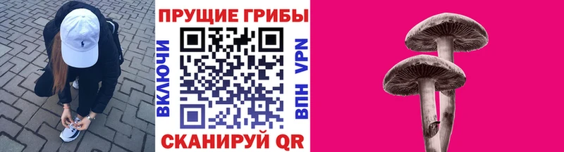 Псилоцибиновые грибы ЛСД  где можно купить   Оленегорск 